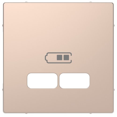 Лицевая панель Schneider Electric Merten D-Life для 2-м. розетки USB шампань картинка